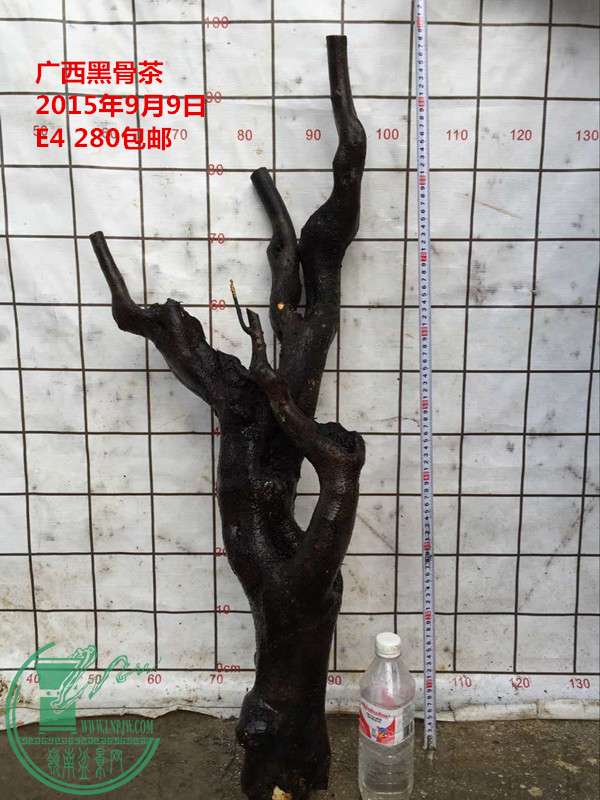 QQͼƬ20150909184159_.jpg