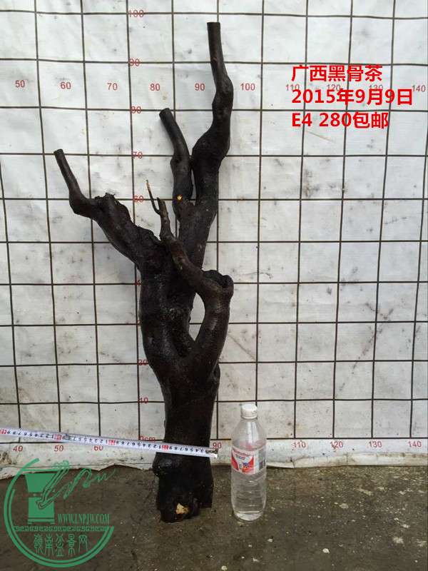 QQͼƬ20150909184203_.jpg