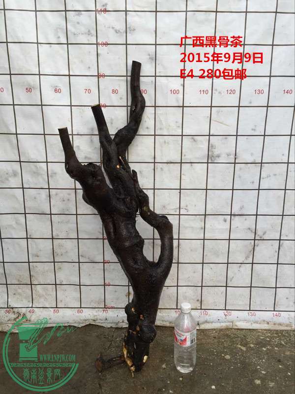 QQͼƬ20150909184208_.jpg