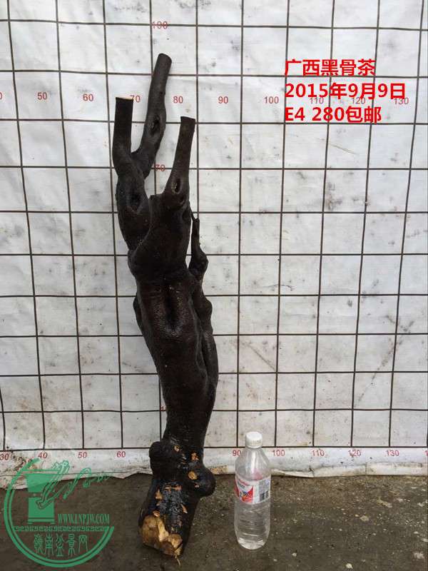 QQͼƬ20150909184213_.jpg
