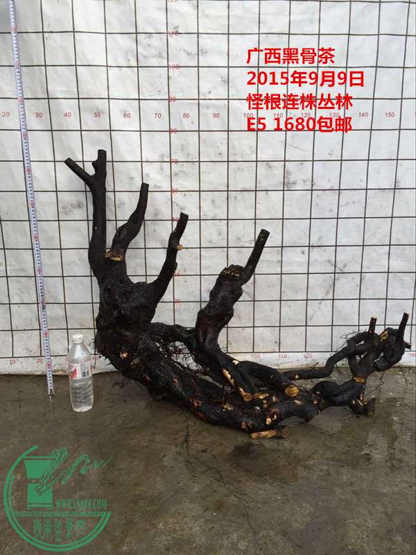 QQͼƬ20150909184221_.jpg