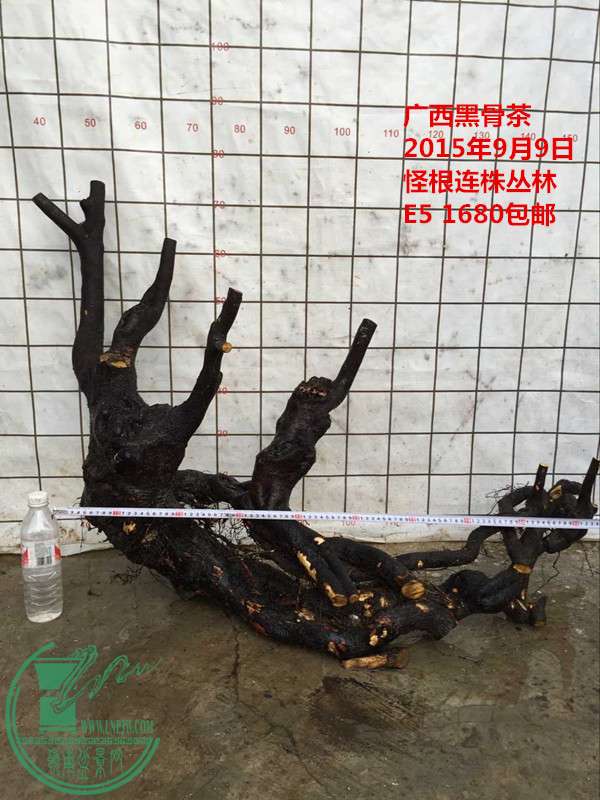 QQͼƬ20150909184229_.jpg