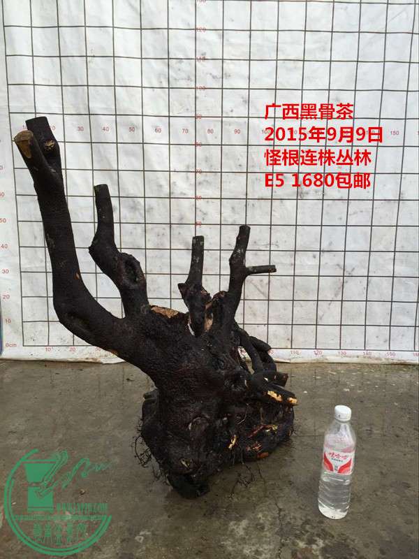 QQͼƬ20150909184241_.jpg