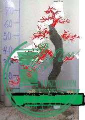 QQͼƬ20150910170412.jpg