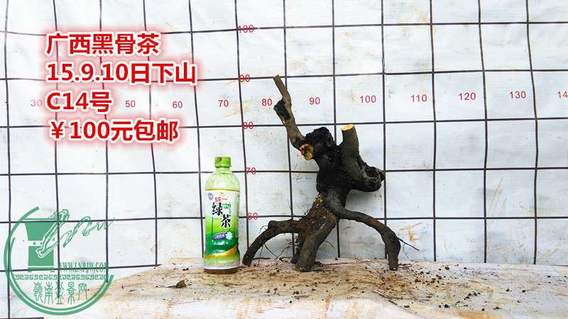 IMG_20150910_142406_.jpg