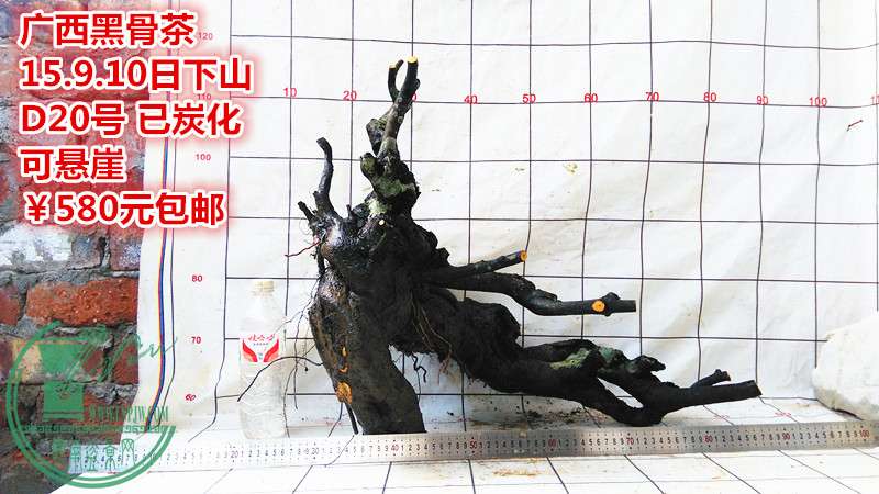 IMG_20150910_151343_.jpg