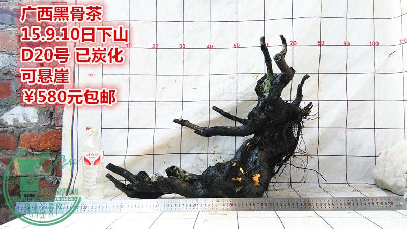IMG_20150910_151426_.jpg