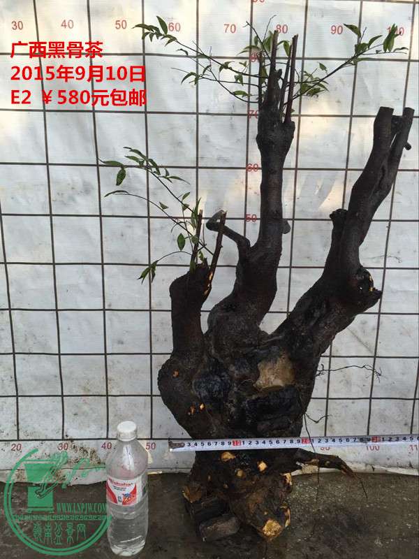QQͼƬ20150910203151_.jpg