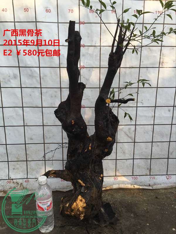 QQͼƬ20150910203159_.jpg