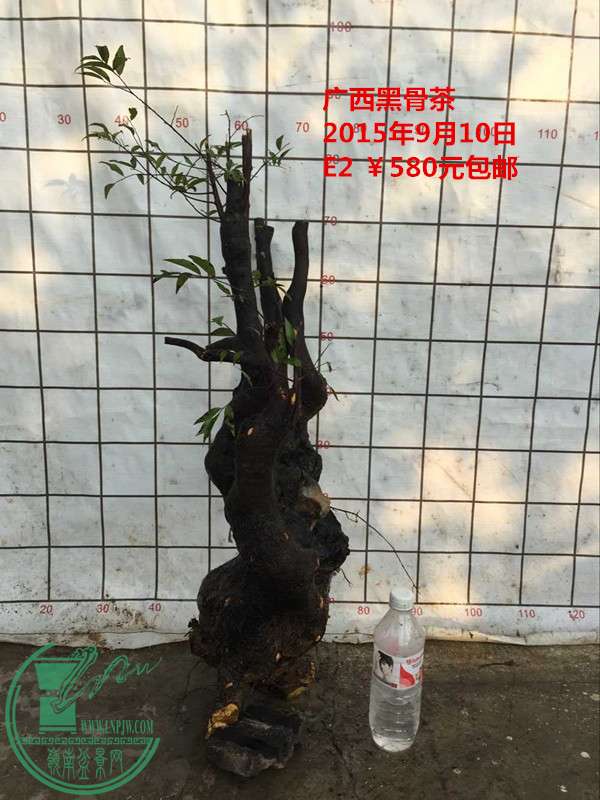 QQͼƬ20150910203203_.jpg