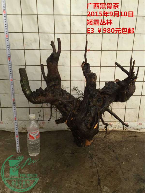 QQͼƬ20150910203209_.jpg
