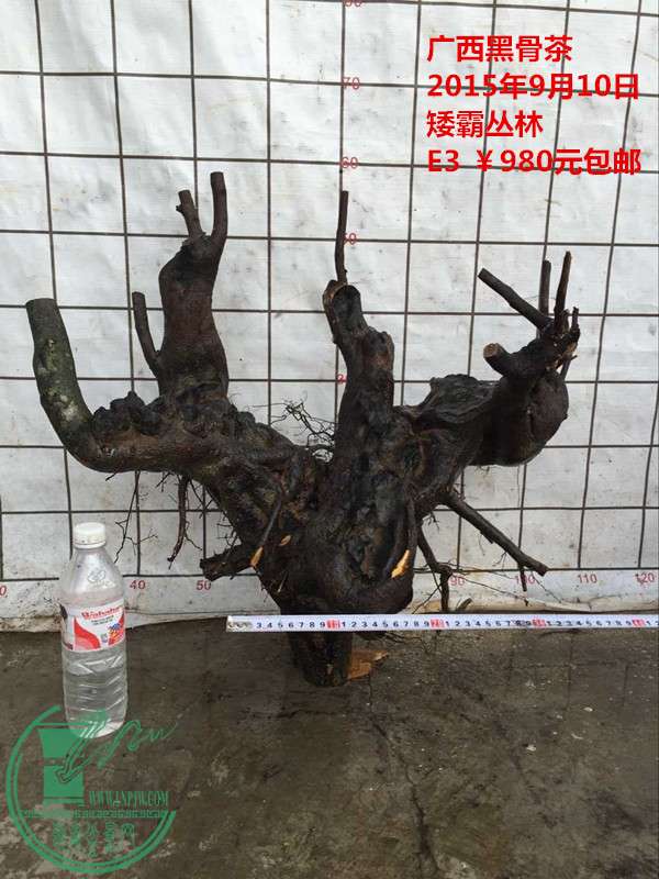 QQͼƬ20150910203214_.jpg