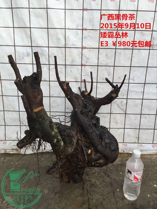 QQͼƬ20150910203241_.jpg
