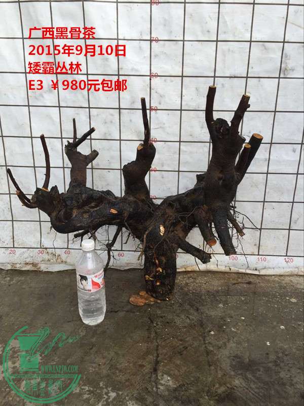QQͼƬ20150910203248_.jpg