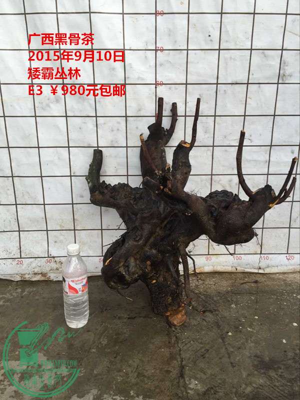 QQͼƬ20150910203256_.jpg