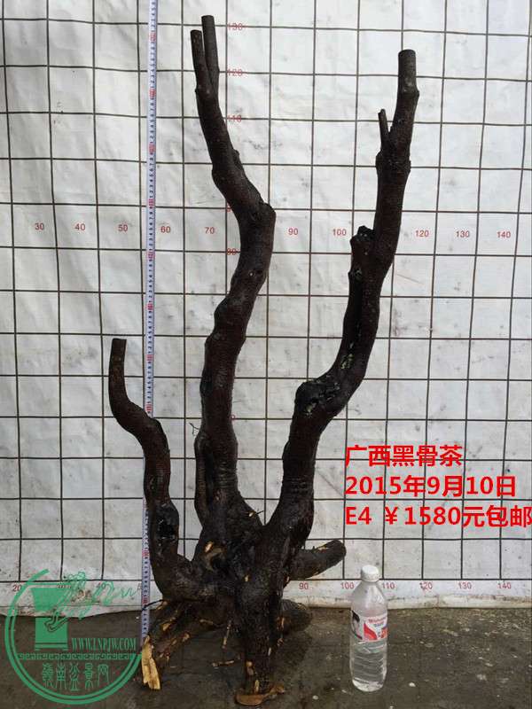 QQͼƬ20150910203259_.jpg