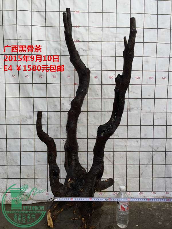QQͼƬ20150910203302_.jpg