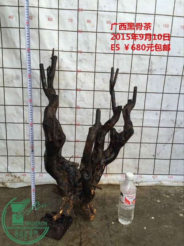 QQͼƬ20150910203319_.jpg