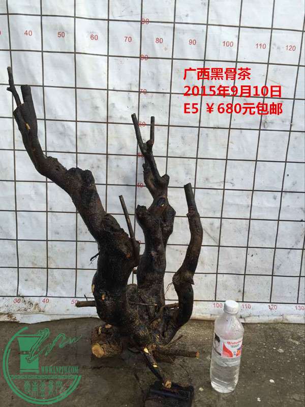 QQͼƬ20150910203326_.jpg