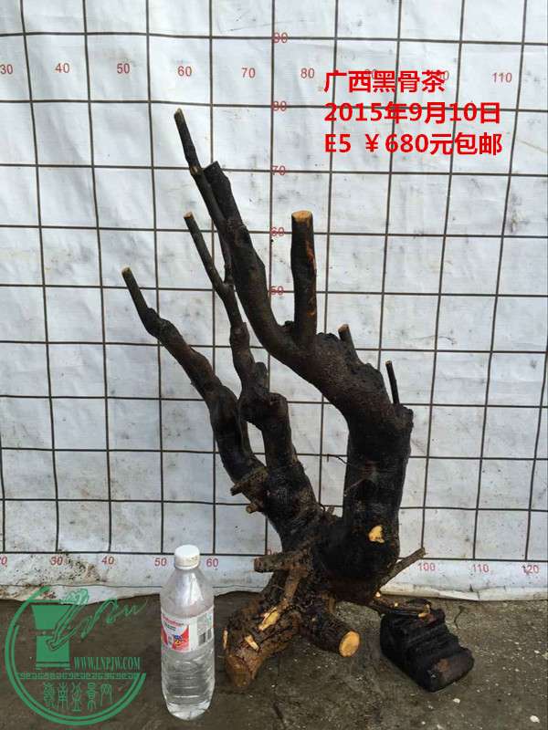 QQͼƬ20150910203329_.jpg
