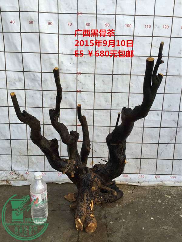 QQͼƬ20150910203332_.jpg