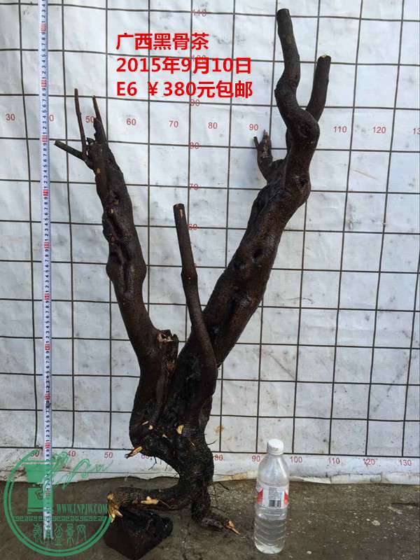 QQͼƬ20150910203335_.jpg