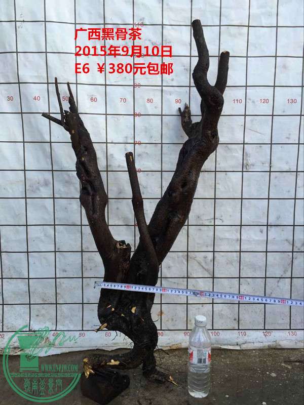 QQͼƬ20150910203338_.jpg