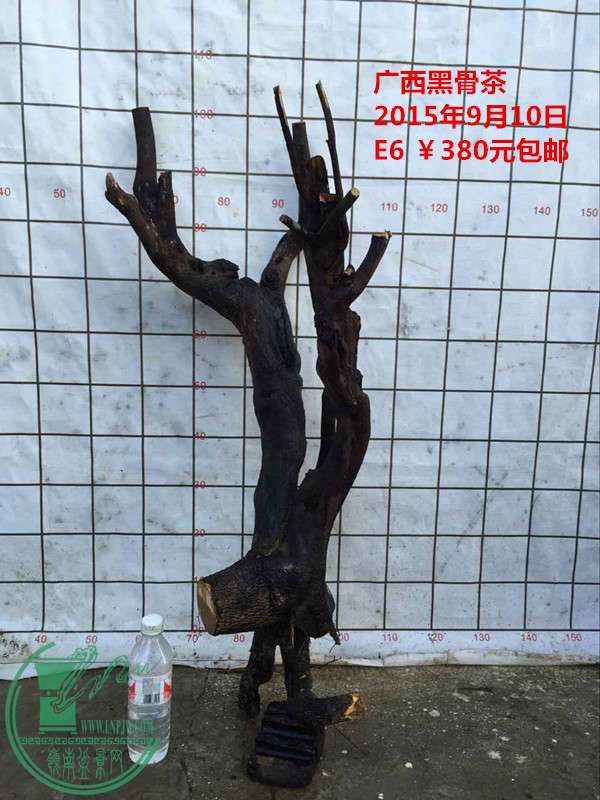 QQͼƬ20150910203344_.jpg
