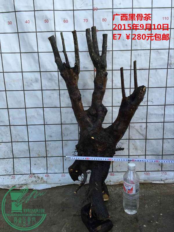 QQͼƬ20150910203352_.jpg