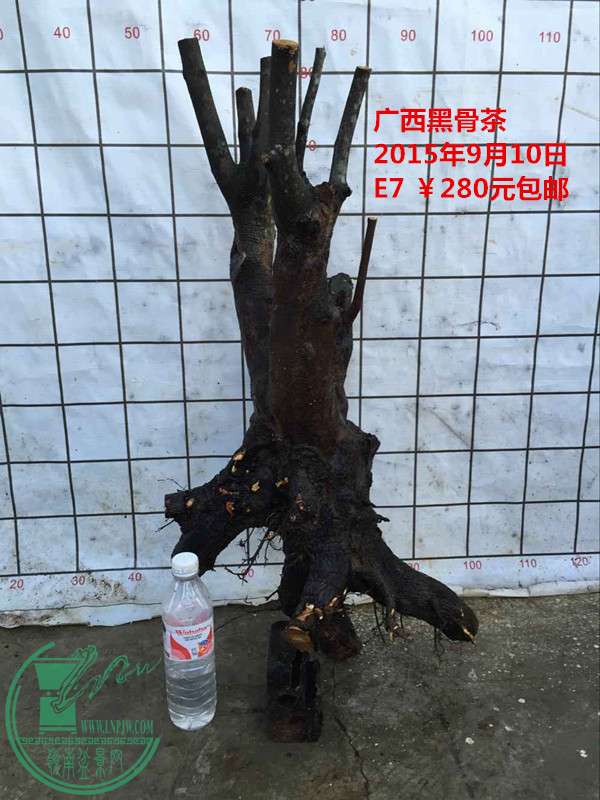 QQͼƬ20150910203355_.jpg