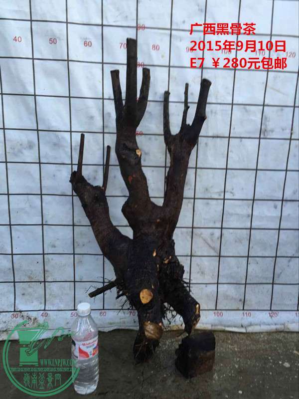 QQͼƬ20150910203358_.jpg
