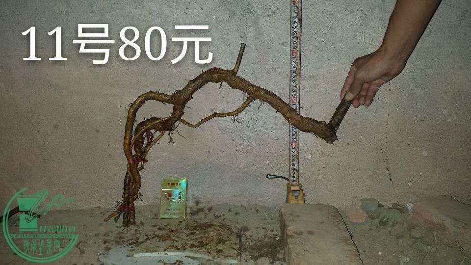 QQͼƬ20150911212157.jpg