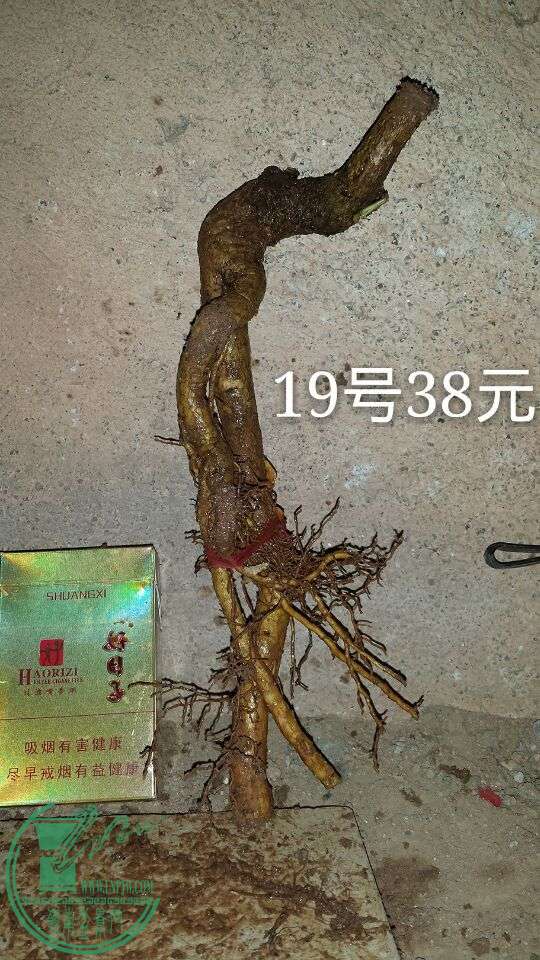 QQͼƬ20150911212338.jpg