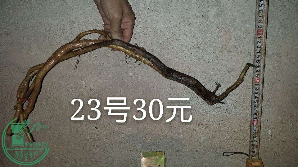 QQͼƬ20150911212433.jpg