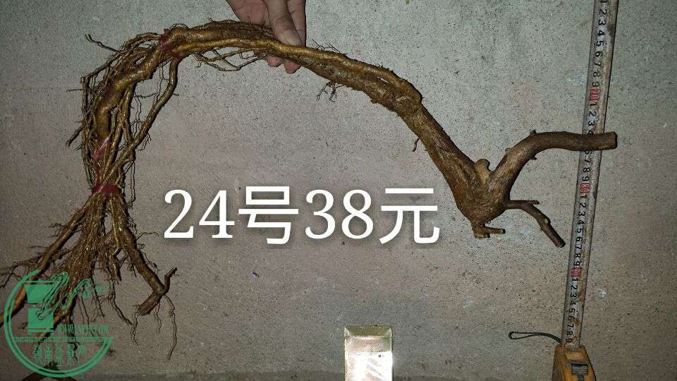 QQͼƬ20150911212439.jpg