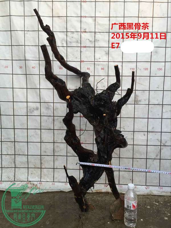 QQͼƬ20150911214434__.jpg