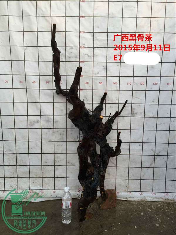QQͼƬ20150911214439__.jpg