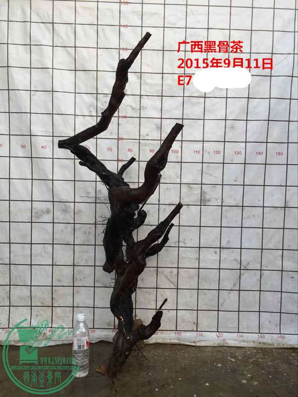 QQͼƬ20150911214502__.jpg