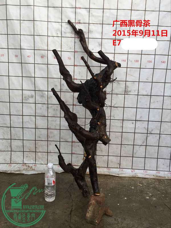 QQͼƬ20150911214623__.jpg