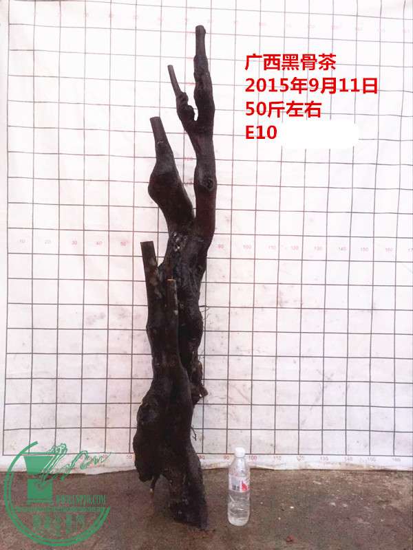 QQͼƬ20150911214855__.jpg