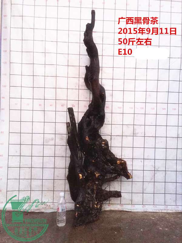 QQͼƬ20150911214859__.jpg