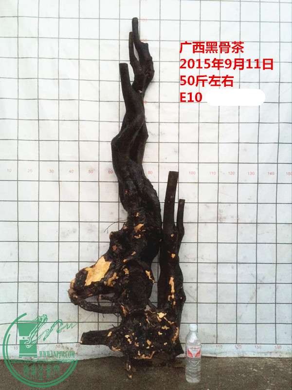 QQͼƬ20150911214908__.jpg