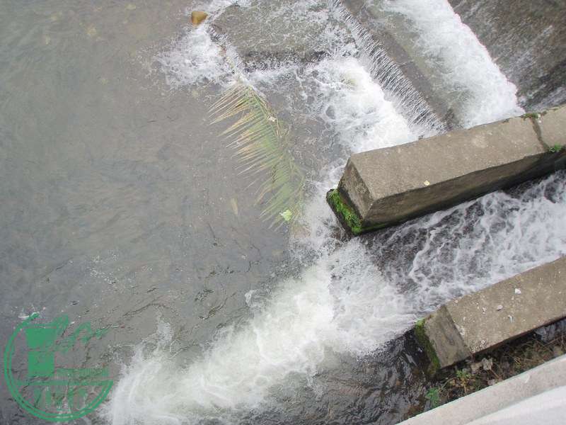 009.jpg