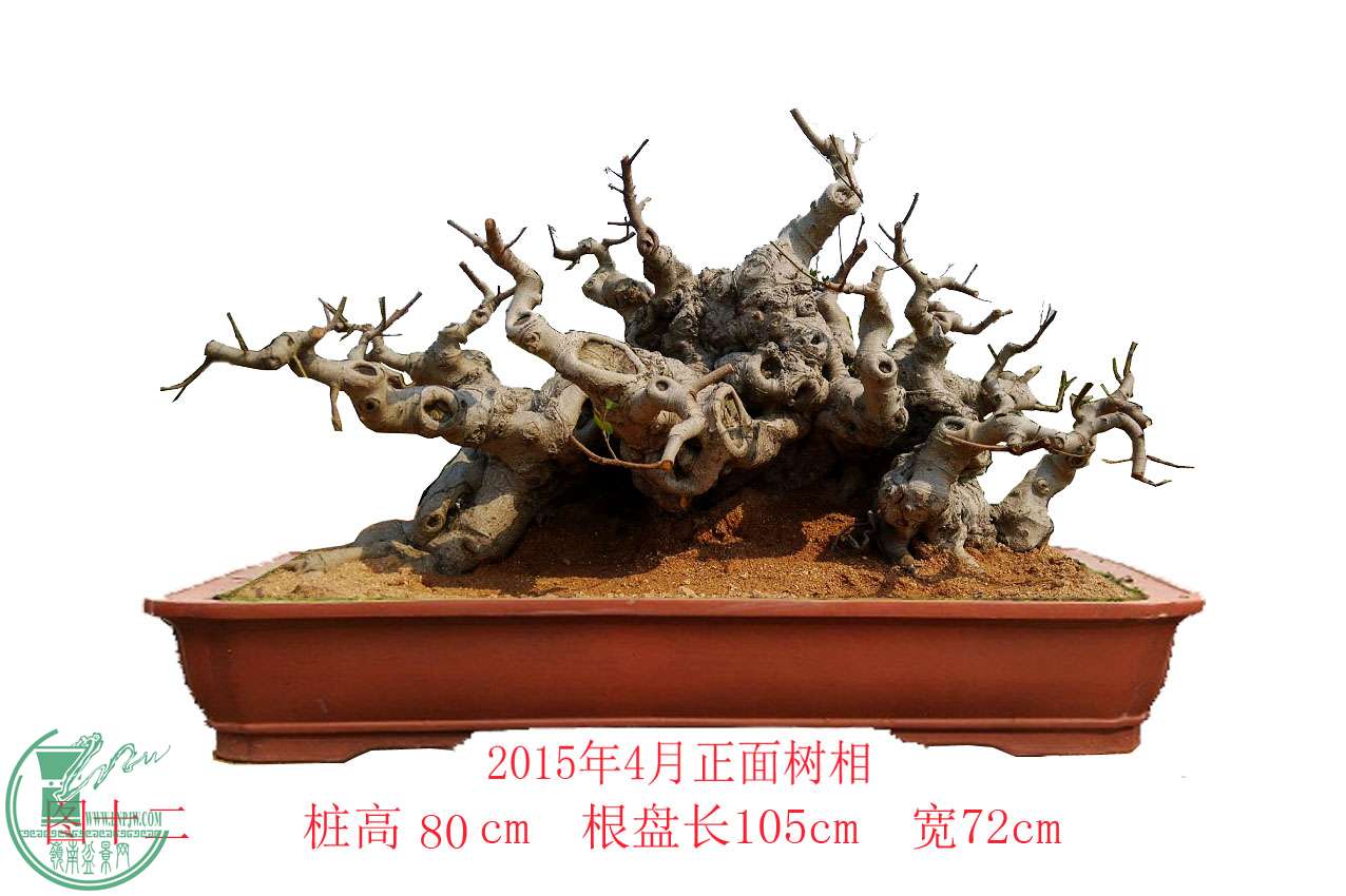 12154(02) 90cm ̳105cm 85cm.jpg