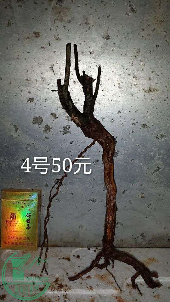 QQͼƬ20150913214044.jpg