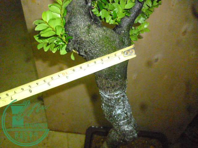 P1140564.JPG