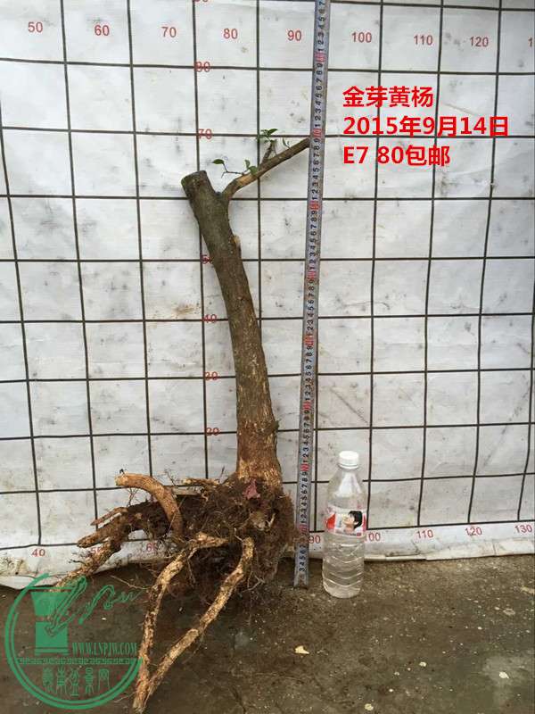 QQͼƬ20150914192717_.jpg