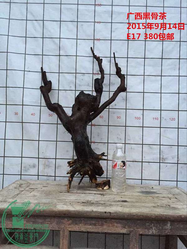 QQͼƬ20150914192950_.jpg