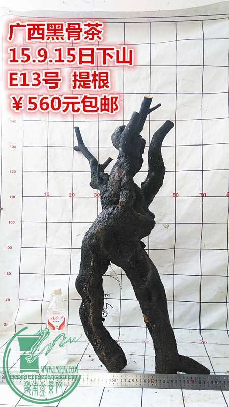 IMG_20150915_164454_.jpg