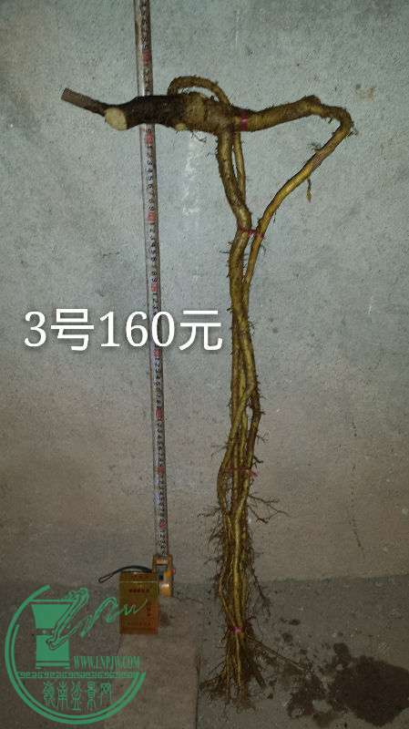 681744